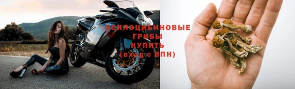 сатива Баксан